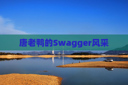 唐老鸭的Swagger风采