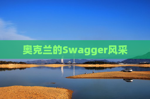 奥克兰的Swagger风采